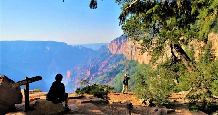North Rim of the Grand Canyon